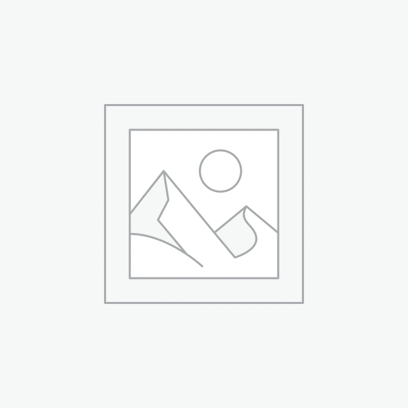 هدست بلوتوثی مدل R74